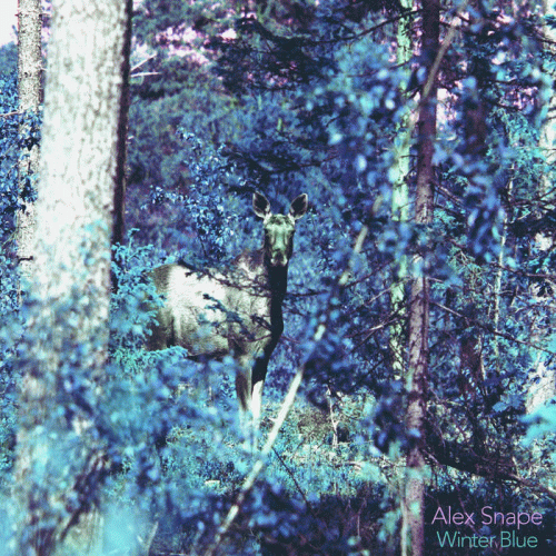 Alex Snape : Winter Blue